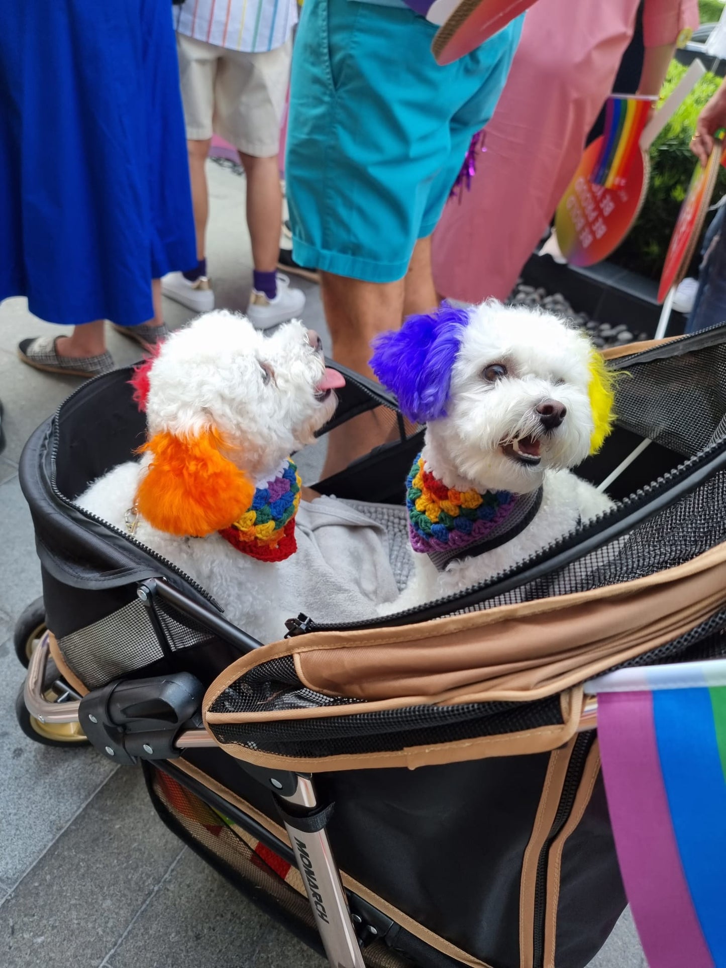 Pride Pet Collar